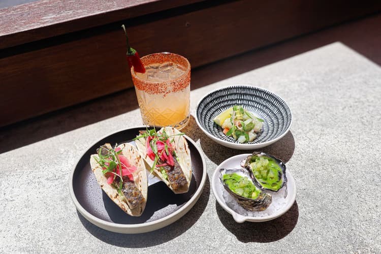 Hola Tequila Tasting Event | Happy Hour Drinks & Specials