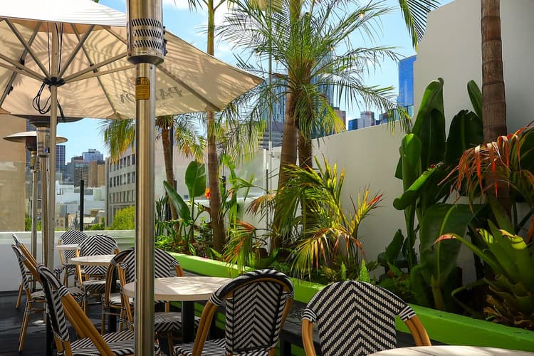 Cocktail Hour | Happy Hour Drinks & Specials