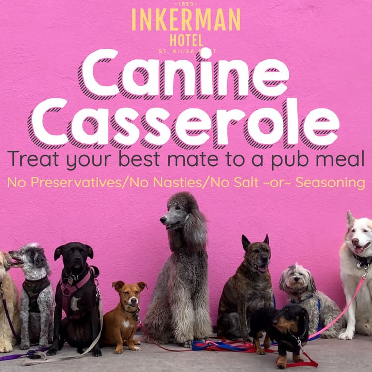 Treat your best mate to a delicious meal! FREE Dog Meal with the purchase of 2 (human) main meals! | Happy Hour Drinks & Specials
