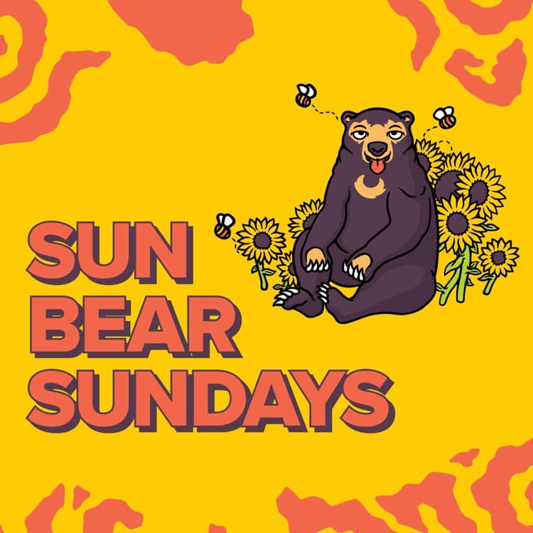 Sunday Beer Jugs | Happy Hour Drinks & Specials