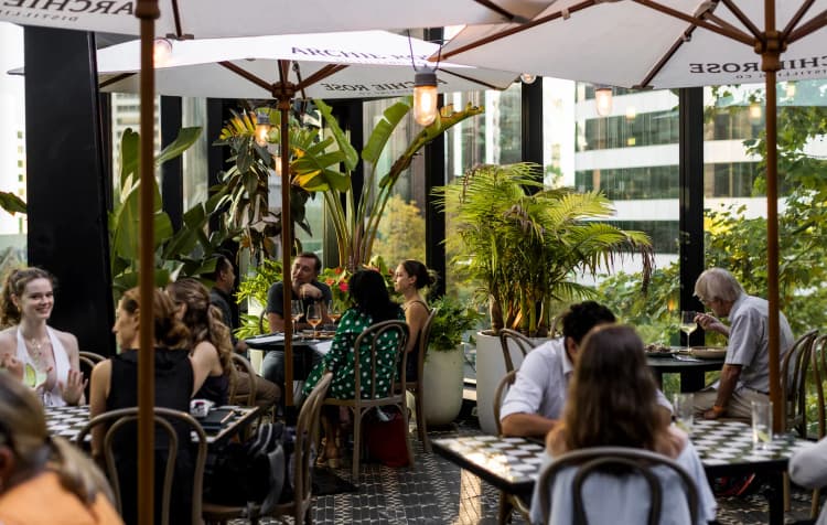 Happy Hour in the Oasis | Happy Hour Drinks & Specials