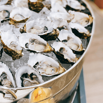 $2 Oysters | Happy Hour Drinks & Specials
