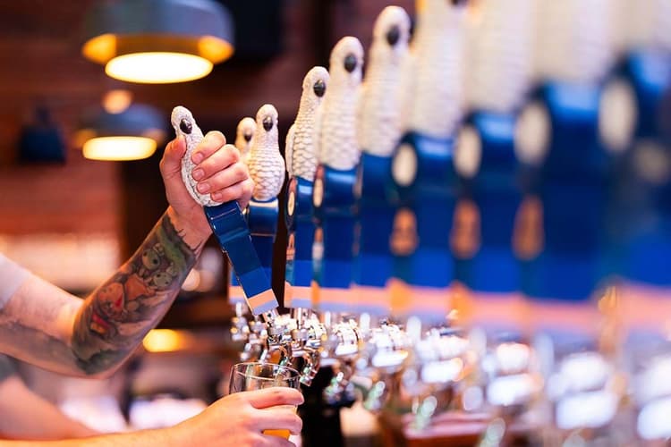 $25 Lunch Specials | Happy Hour Drinks & Specials