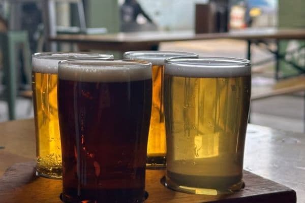 2-for-1 tasting paddles | Happy Hour Drinks & Specials